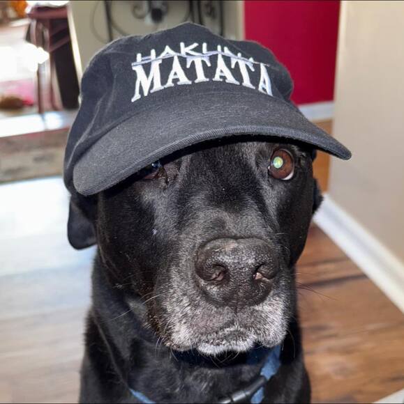 pawztks